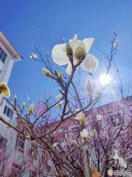 998884_670x670 998884_670x670