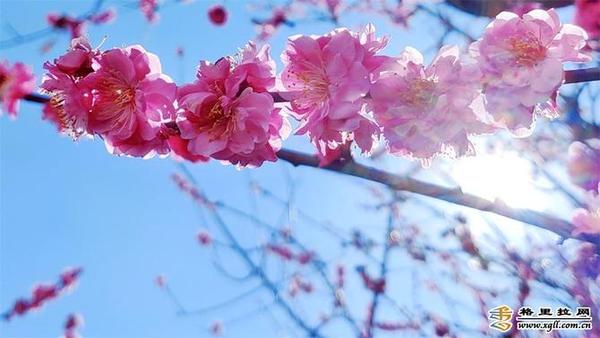 998883_670x670 998883_670x670