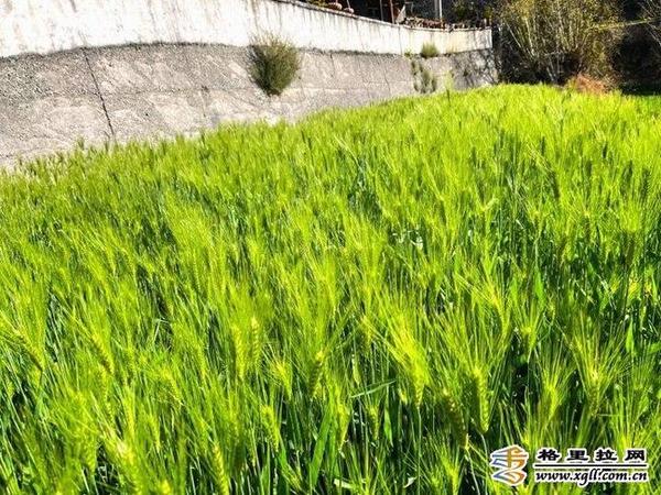 998870_670x670 998870_670x670