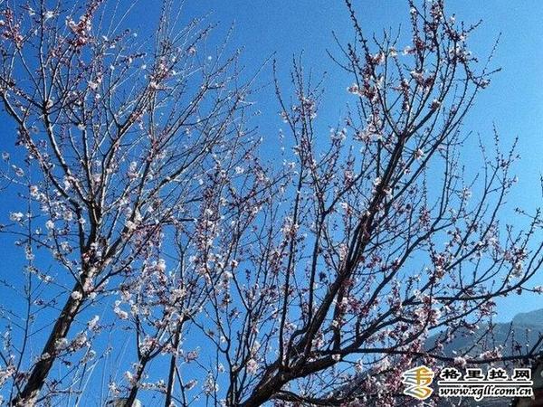 998869_670x670 998869_670x670