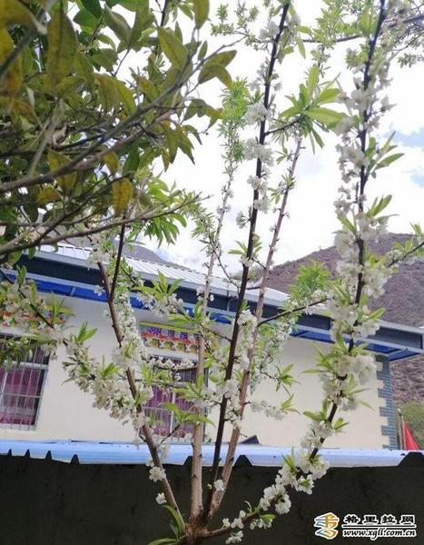 998867_670x670 998867_670x670