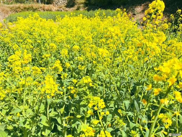 998866_670x670 998866_670x670