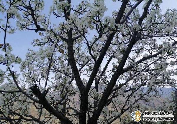 998865_670x670 998865_670x670