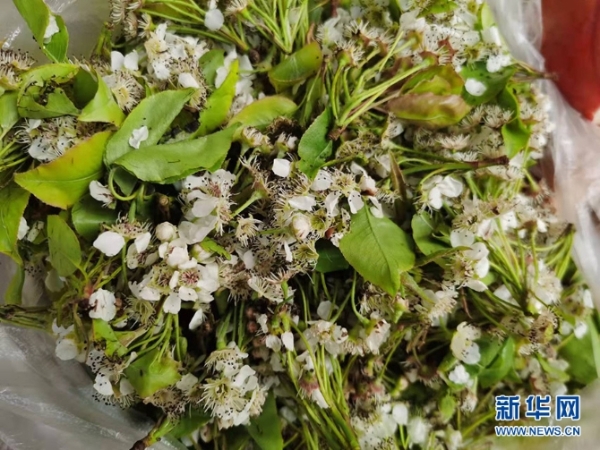 1310527846_16481137310971n