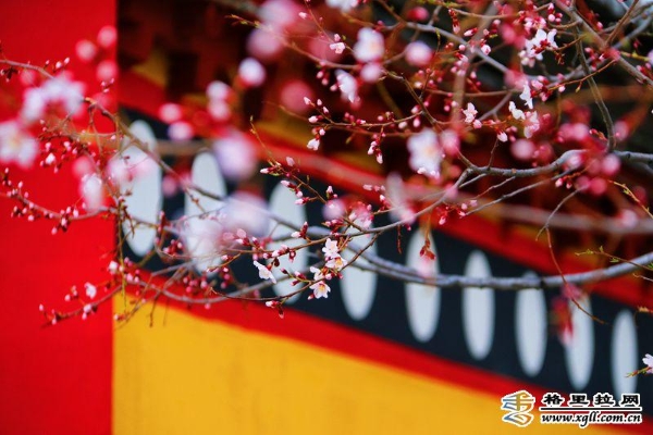 b92ccd71-986d-43db-a4af-232443026ed4_batchwm