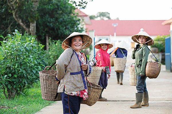 6254d1b7a310fd2bec8246e3 6254d1b7a310fd2bec8246e3