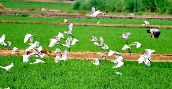 1027429_670x670 1027429_670x670