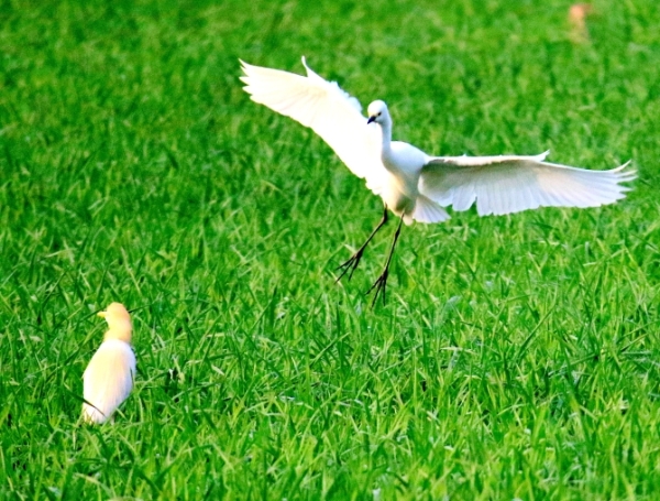 1027430_670x670 1027430_670x670