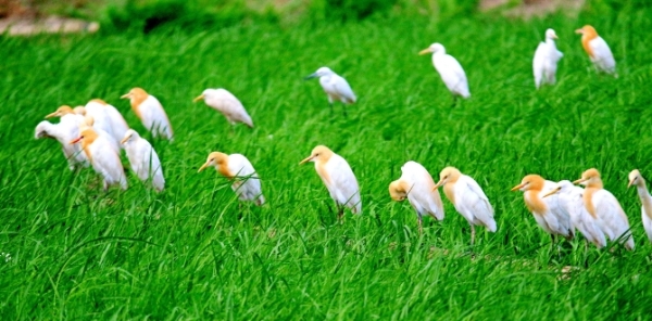 1027431_670x670 1027431_670x670