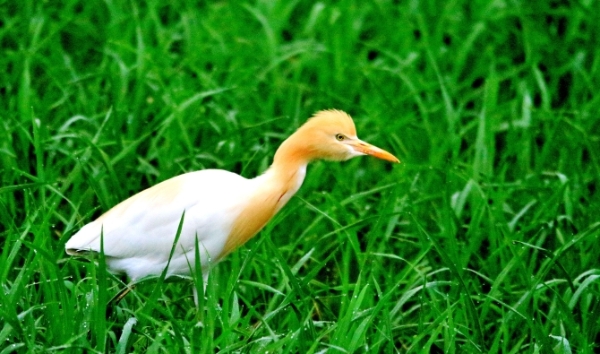 1027432_670x670 1027432_670x670