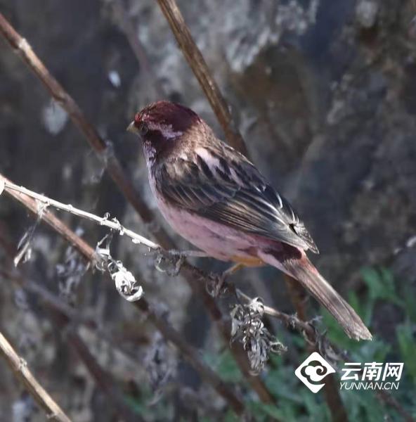 1027428_670x670 1027428_670x670