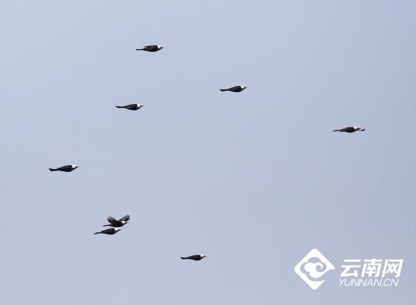 1027427_670x670 1027427_670x670