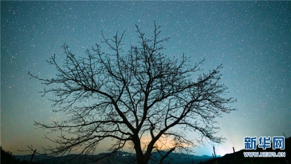 1032858_670x670 1032858_670x670