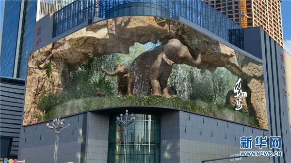 1310568743_16505916132061n