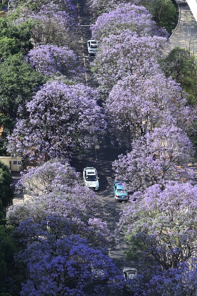 c0de5ff45d3a462a8b86a9db26108768 c0de5ff45d3a462a8b86a9db26108768