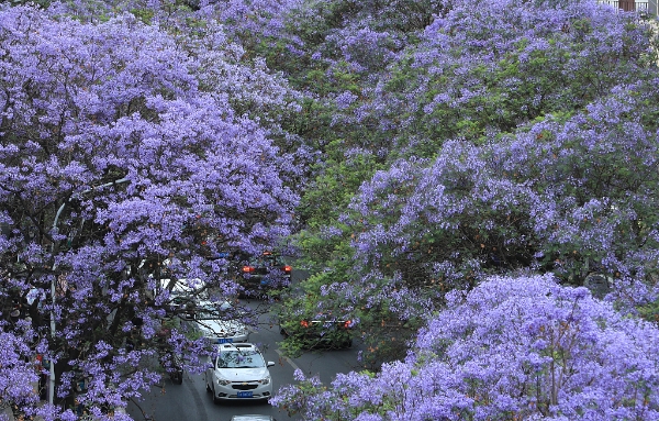 d4eb31da4a524788a954a38a48a4a84d d4eb31da4a524788a954a38a48a4a84d