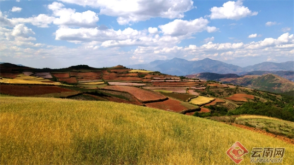 00304729960_03947e8f