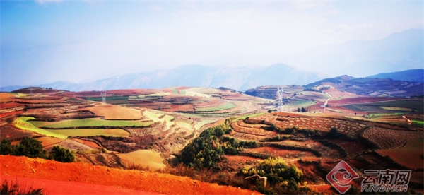 00304729964_6848f7d2