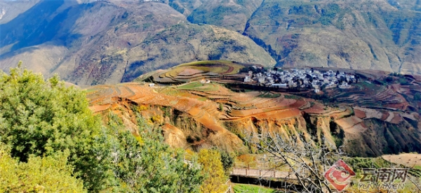 00304729965_4b04918b