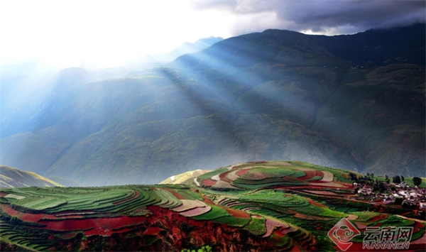 00304730061_d62d2204