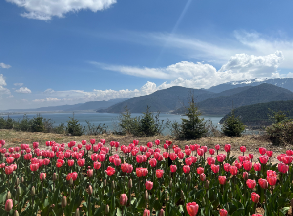 01c419af-9999-4992-91df-9f07153d8002 01c419af-9999-4992-91df-9f07153d8002