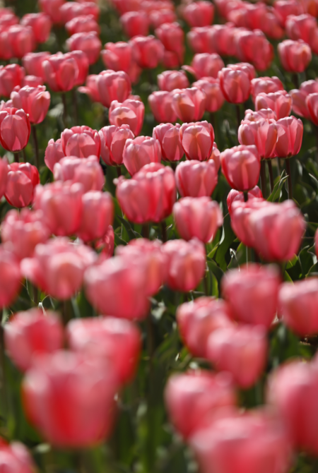 9f0ee79b-0532-4fff-9377-2e42b2728b69 9f0ee79b-0532-4fff-9377-2e42b2728b69