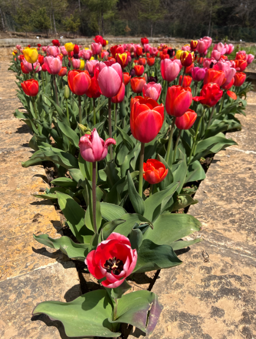 22e4fcd2-1aa1-440d-beb5-f53f153a24af 22e4fcd2-1aa1-440d-beb5-f53f153a24af