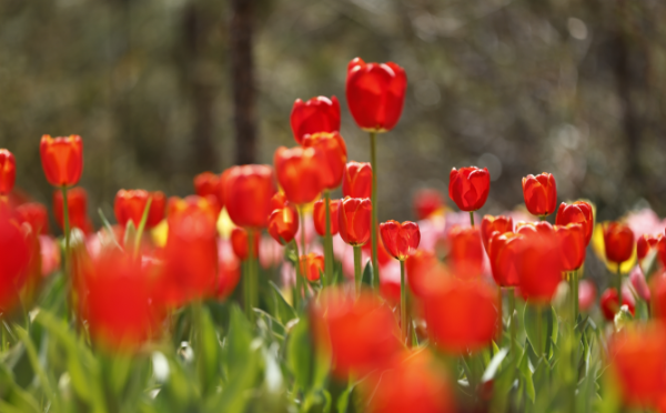 59660a0f-d559-4ea8-aef5-0ac704d04f5d 59660a0f-d559-4ea8-aef5-0ac704d04f5d