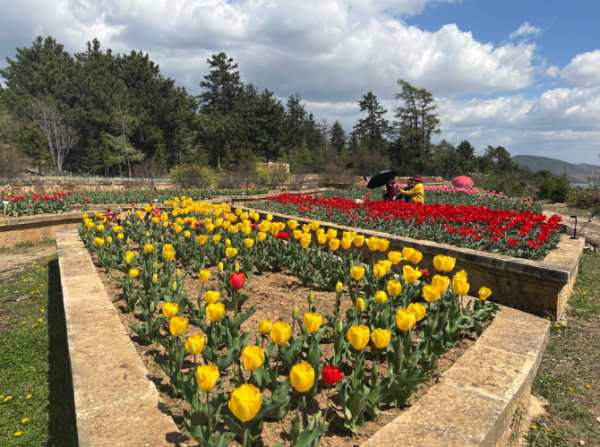 10818252-af61-4886-81c0-9cb28d187a71 10818252-af61-4886-81c0-9cb28d187a71