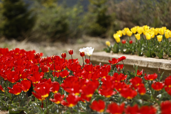 b274c8c3-2ae4-42b8-80ea-2e3679ef2e65 b274c8c3-2ae4-42b8-80ea-2e3679ef2e65