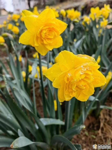 3719ef9d-2b21-4fa6-8e56-7a9ddc8a3e17_batchwm