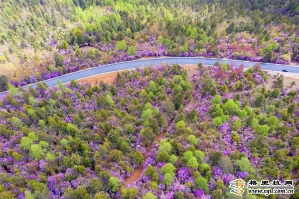 27fa722c-f88f-4b30-93c9-bd396bc7cef9_batchwm