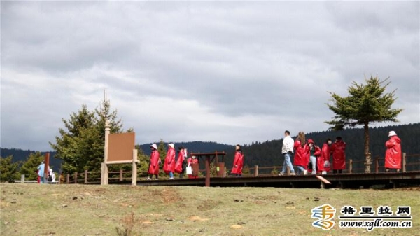 ff18ec44-47f5-441e-abda-180e90360b33_batchwm ff18ec44-47f5-441e-abda-180e90360b33_batchwm