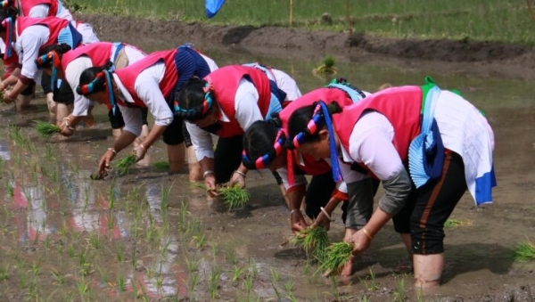 53056300-ce80-494b-963e-281ad5e762c4