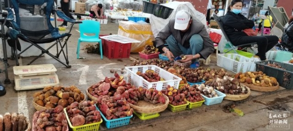 大量上市！價(jià)格跳水！昆明人敞開吃野生菌的時(shí)機(jī)終于到了?。ㄩ_屏新聞記者 楊質(zhì)高 攝） (4)