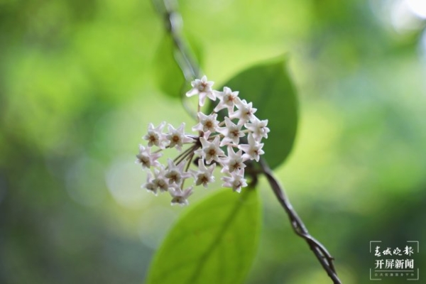 1069277_670x670 1069277_670x670