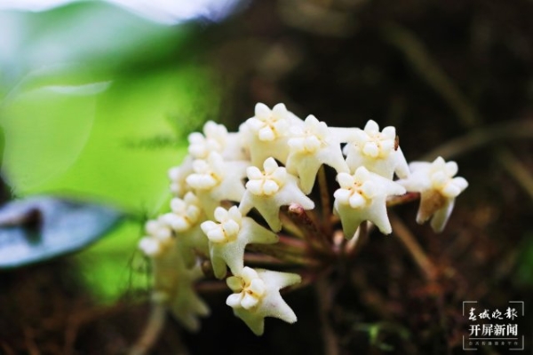 1069279_670x670 1069279_670x670