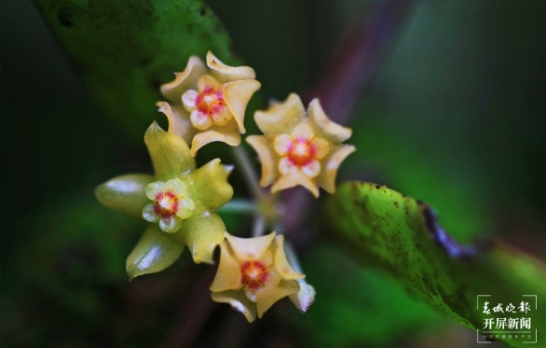 1069280_670x670 1069280_670x670