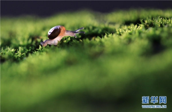 1075285_670x6700 1075285_670x6700