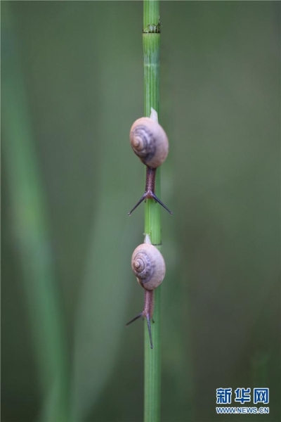 1075287_670x6700 1075287_670x6700