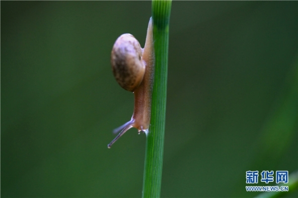 1075290_670x6700 1075290_670x6700