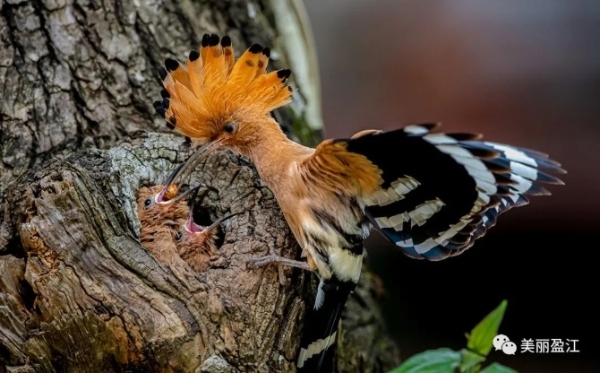 1074688_670x670 1074688_670x670