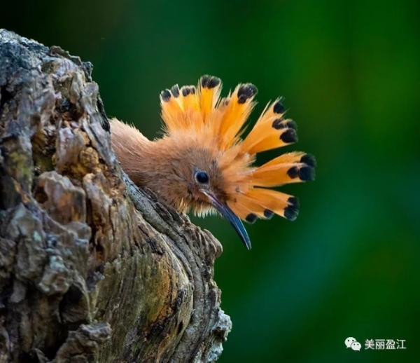 1074689_670x670 1074689_670x670