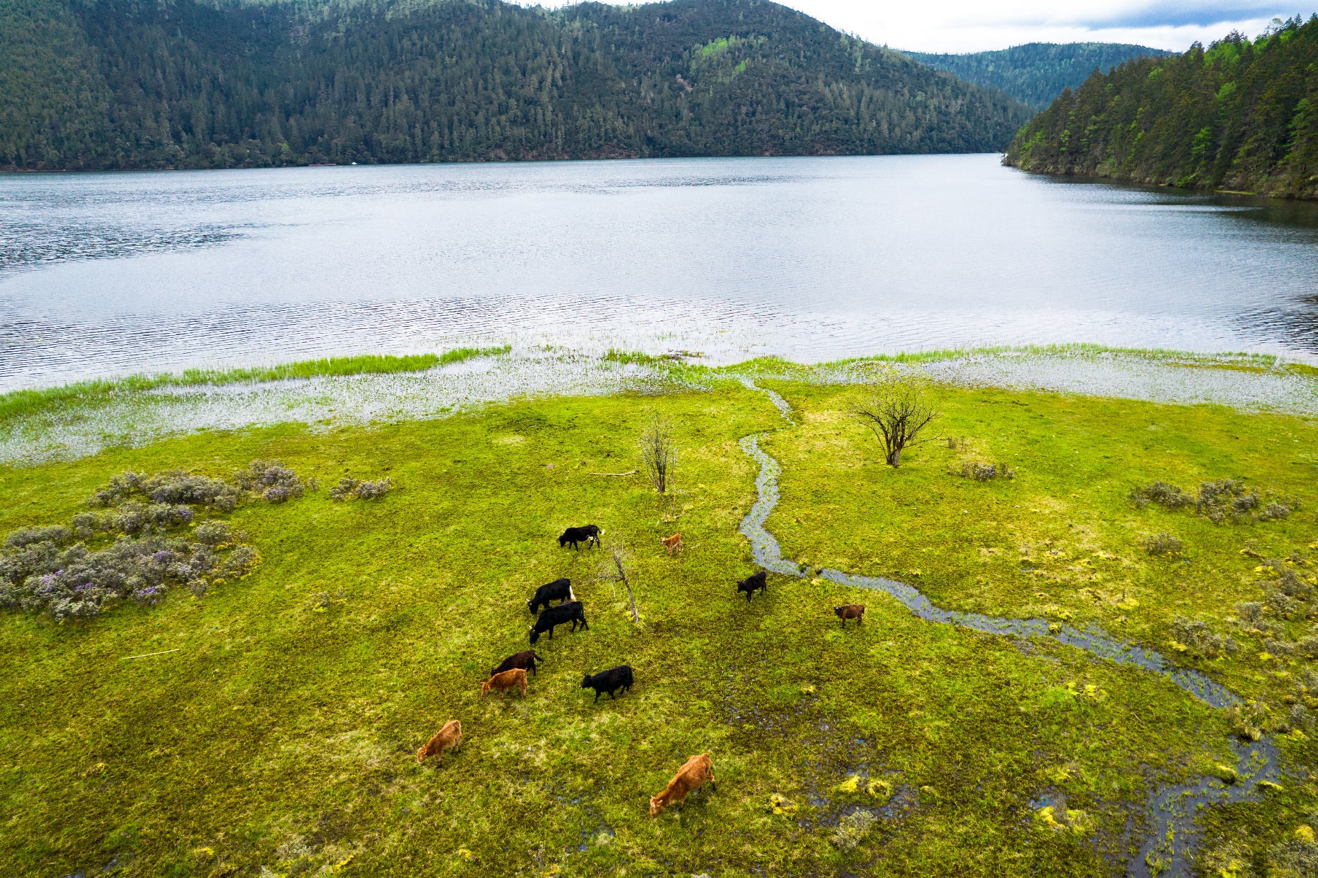 1088289_2048x2048 1088289_2048x2048