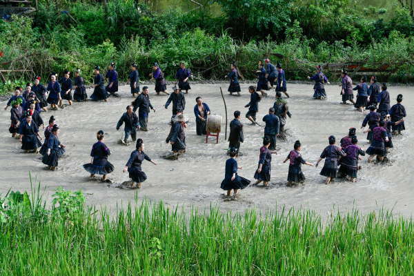 62ce479fa310fd2bec960533