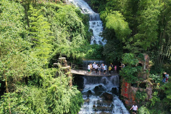 62ce479fa310fd2bec960538