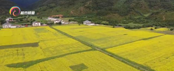 微信圖片_20220714104502