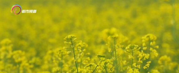 微信圖片_20220714104513