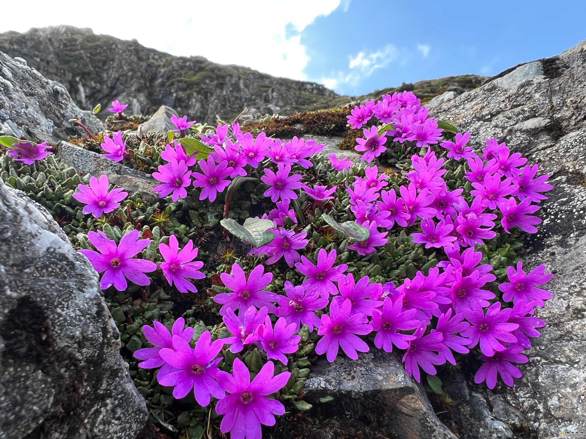 南姐洛3 南姐洛3