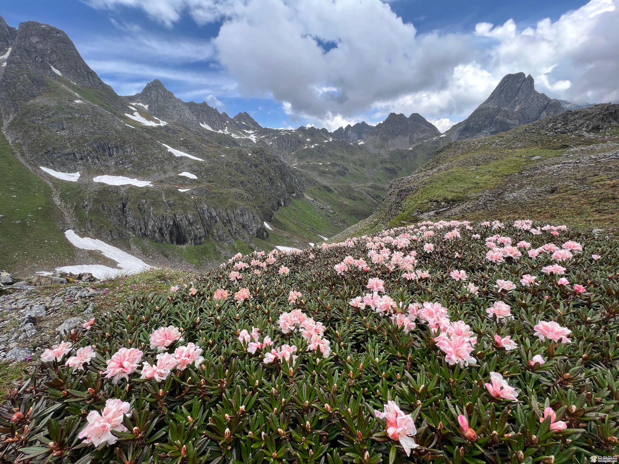 南姐洛5 南姐洛5